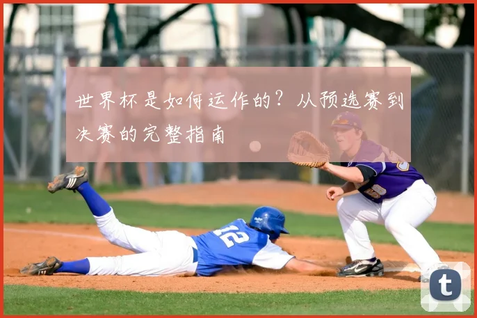世界杯是如何运作的？从预选赛到决赛的完整指南