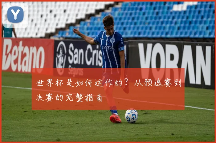 世界杯是如何运作的？从预选赛到决赛的完整指南